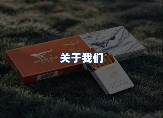 关于我们
